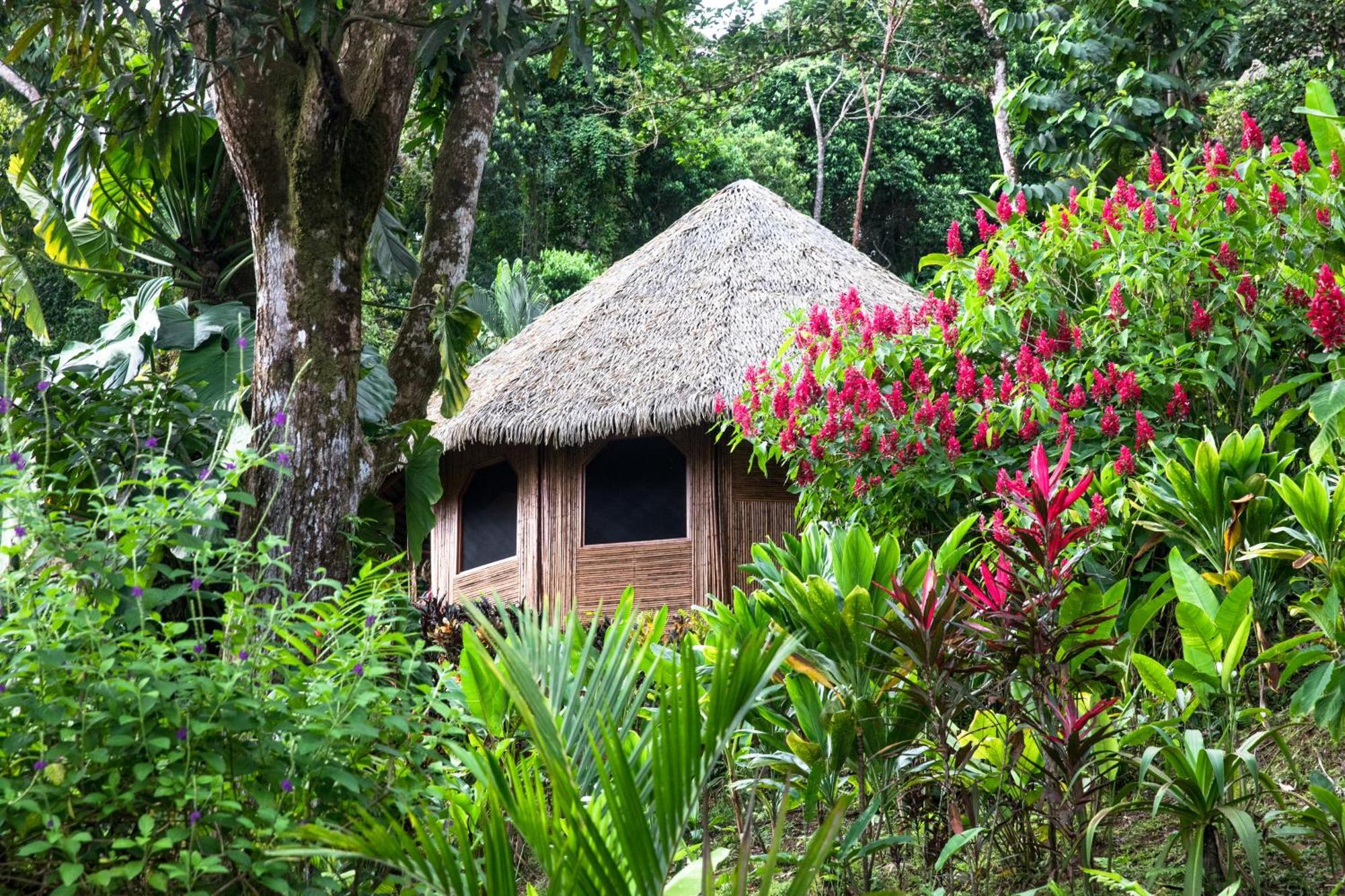 Luna Lodge Carate ภายนอก รูปภาพ