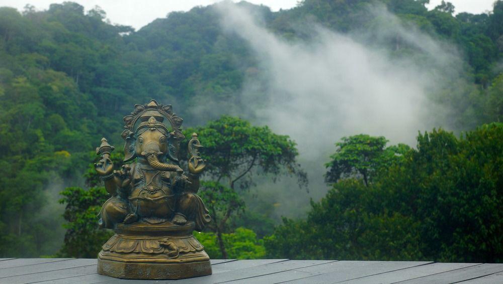 Luna Lodge Carate ภายนอก รูปภาพ