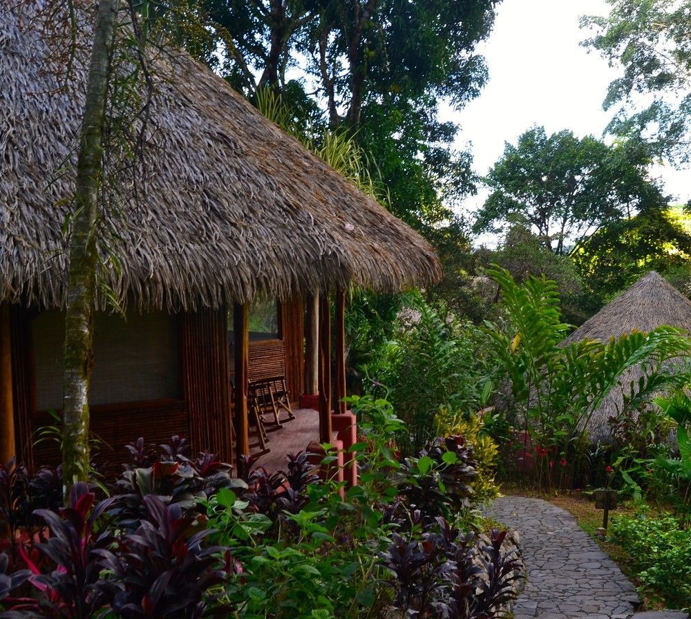 Luna Lodge Carate ภายนอก รูปภาพ