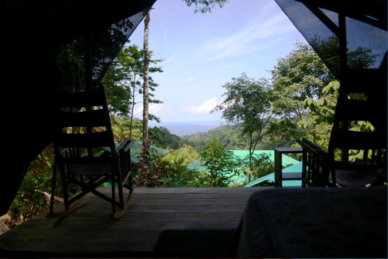 Luna Lodge Carate ห้อง รูปภาพ