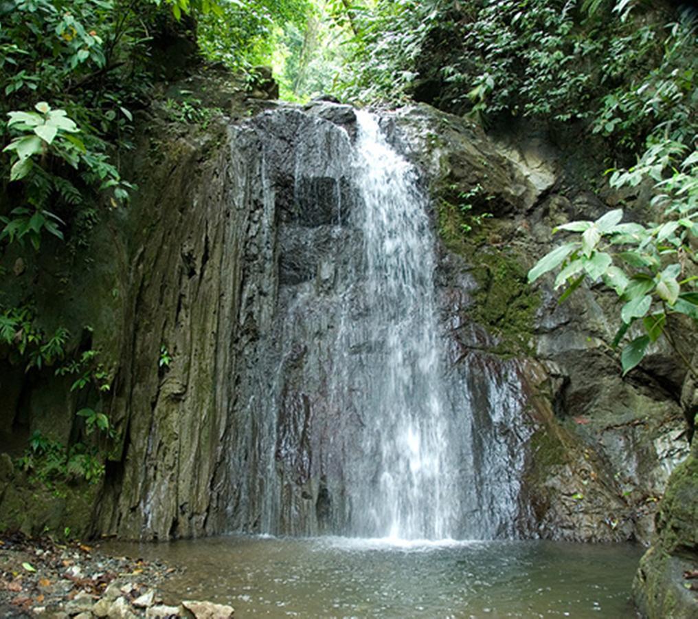Luna Lodge Carate ภายนอก รูปภาพ