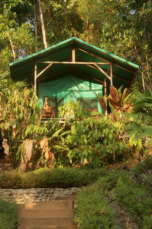 Luna Lodge Carate ห้อง รูปภาพ