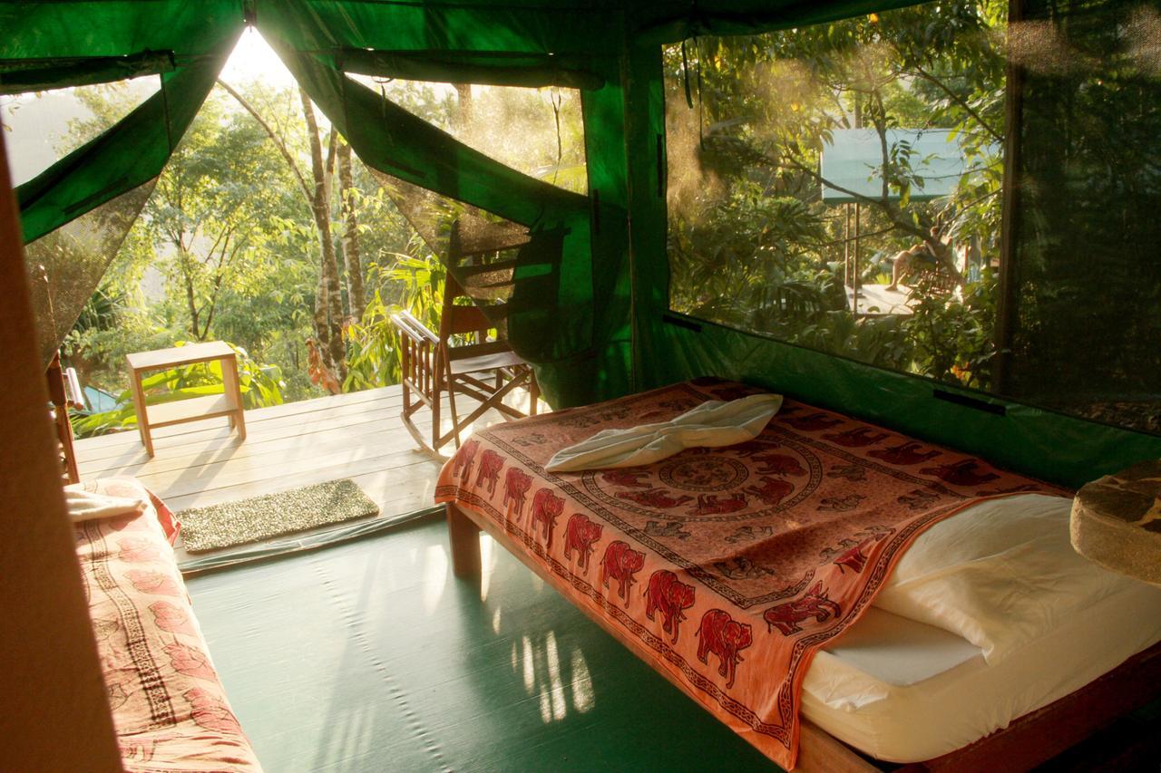 Luna Lodge Carate ห้อง รูปภาพ