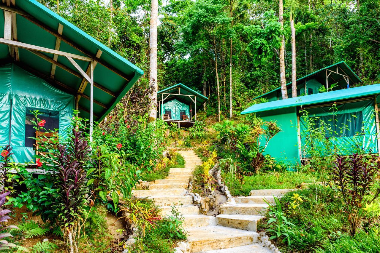 Luna Lodge Carate ห้อง รูปภาพ